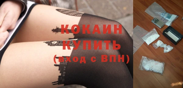 дмт Белокуриха