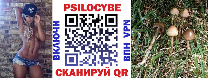 Купить  Мирный  Псилоцибиновые грибы Magic Shrooms 